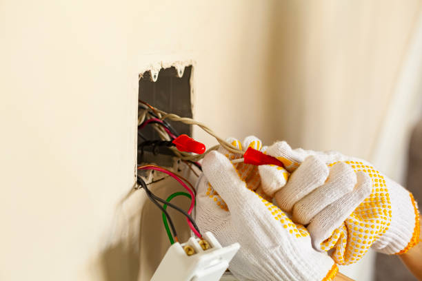 istockphoto-1347571063-612x612